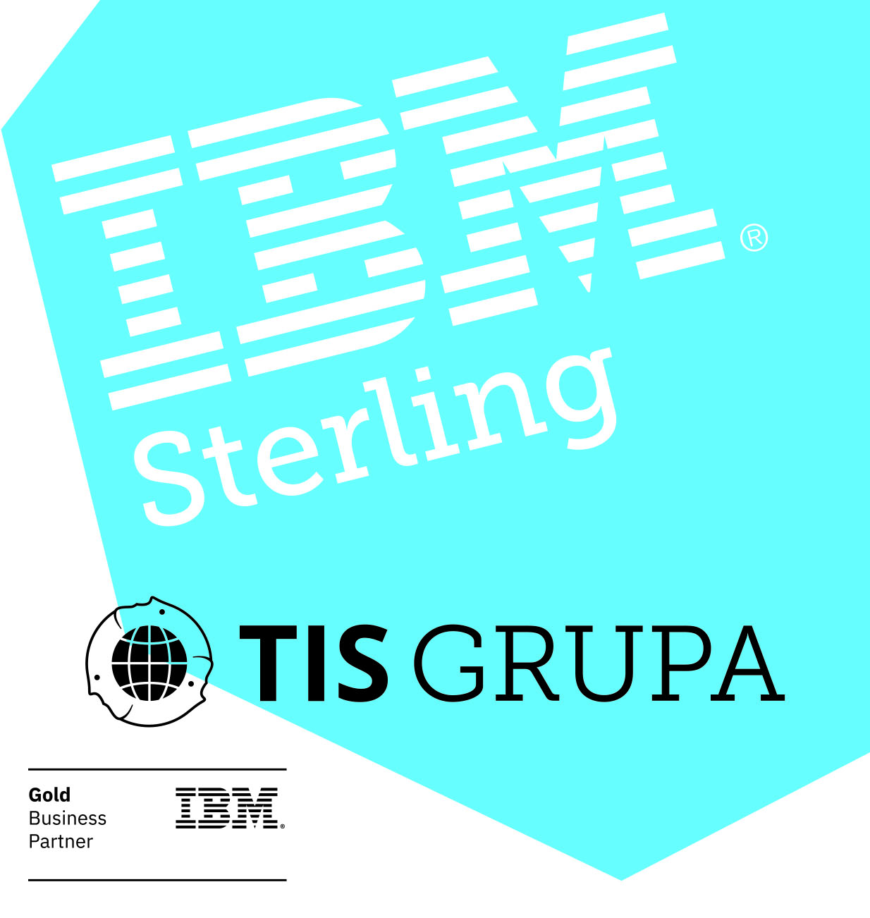 TIS is IBM Partner 